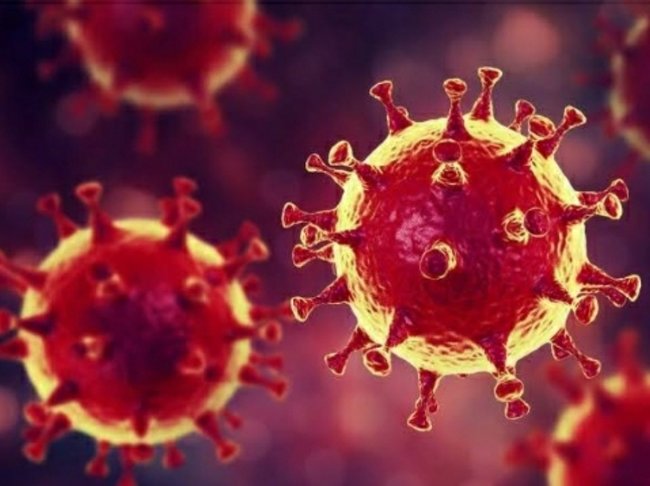 Korban Meninggal Virus Corona Sudah Melebihi SARS dan MERS | KlikDirektori.com