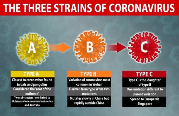 Ahli Sebut Covid-19 Bermutasi Jadi 3 Strain Virus Corona di Dunia | KlikDirektori.com