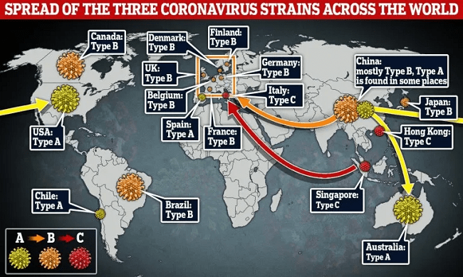 Ahli Sebut Covid-19 Bermutasi Jadi 3 Strain Virus Corona di Dunia | Penyebaran | KlikDirektori.com