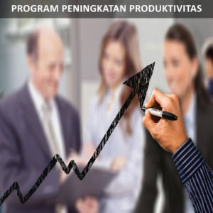 Program Peningkatan Produktivitas