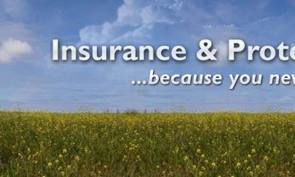 KLIK DIREKTORI | Insurance & Protection