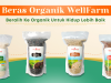 Wellfarm Produsen Supplier Beras Organik