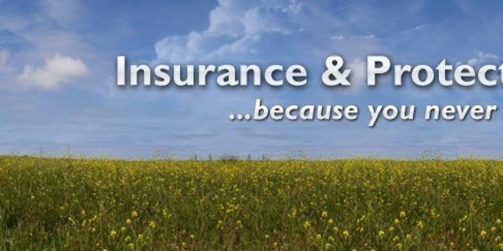 Jenis Asuransi di Indonesia